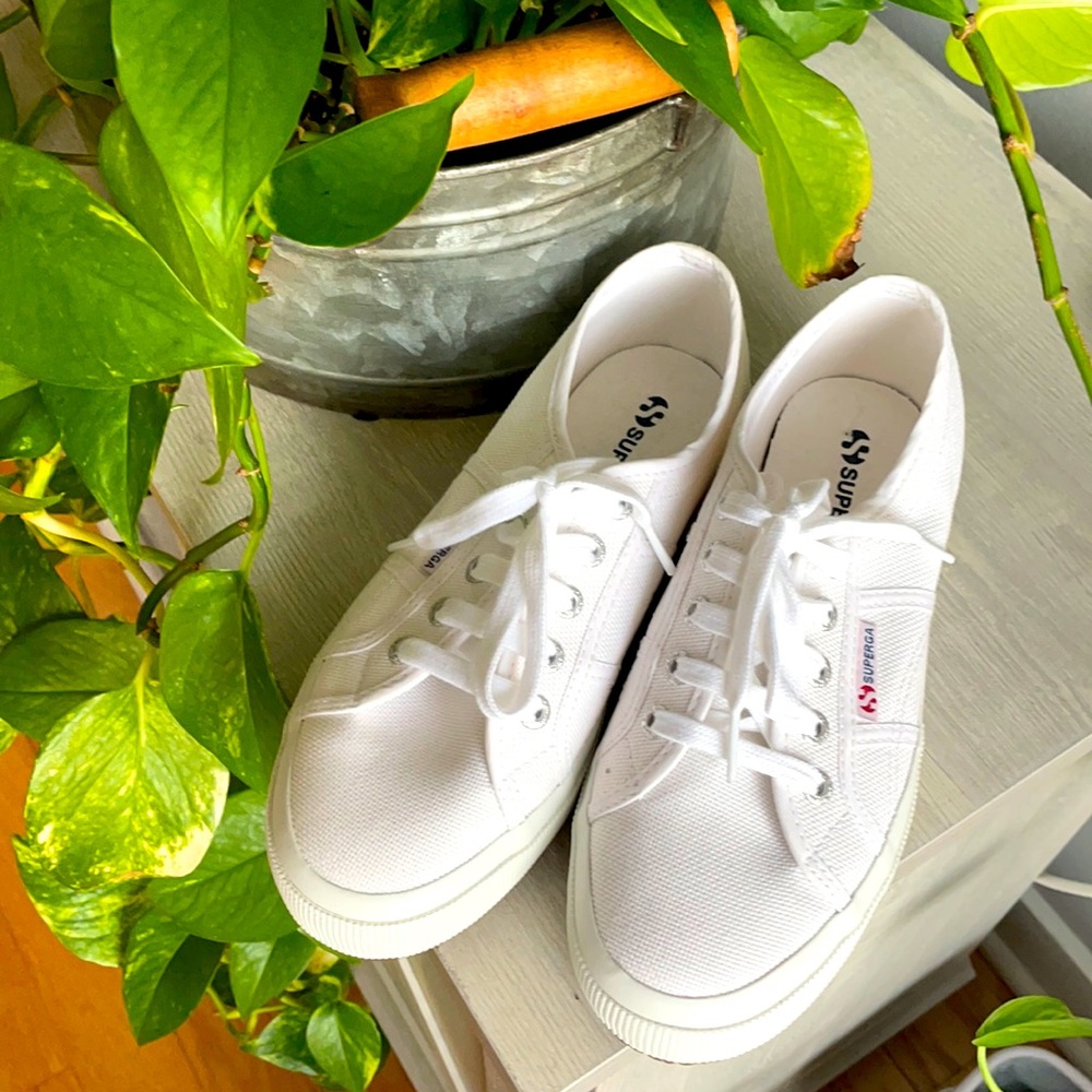 Superga white sneakers